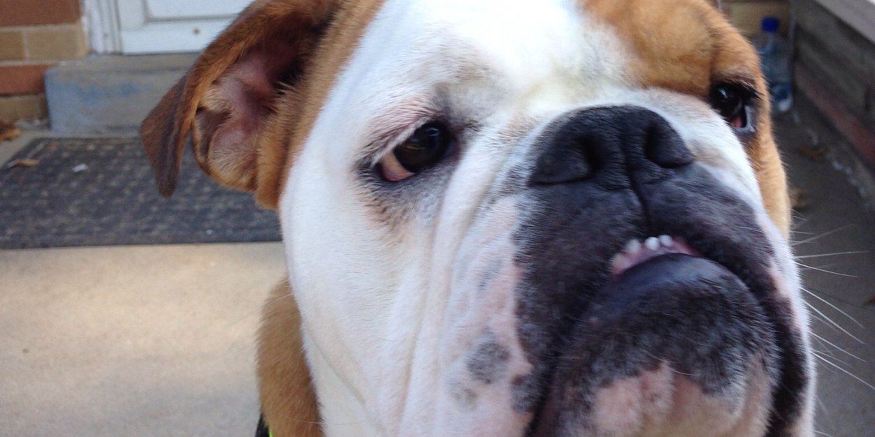 Andrew Dorsey banner