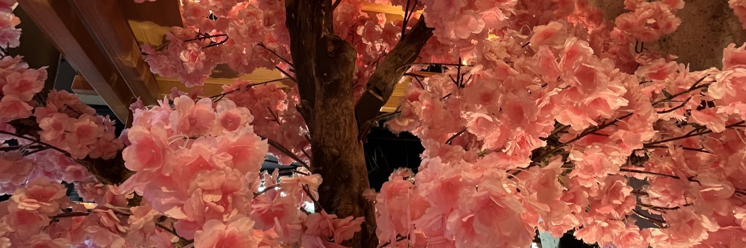slade_nell's profile banner image