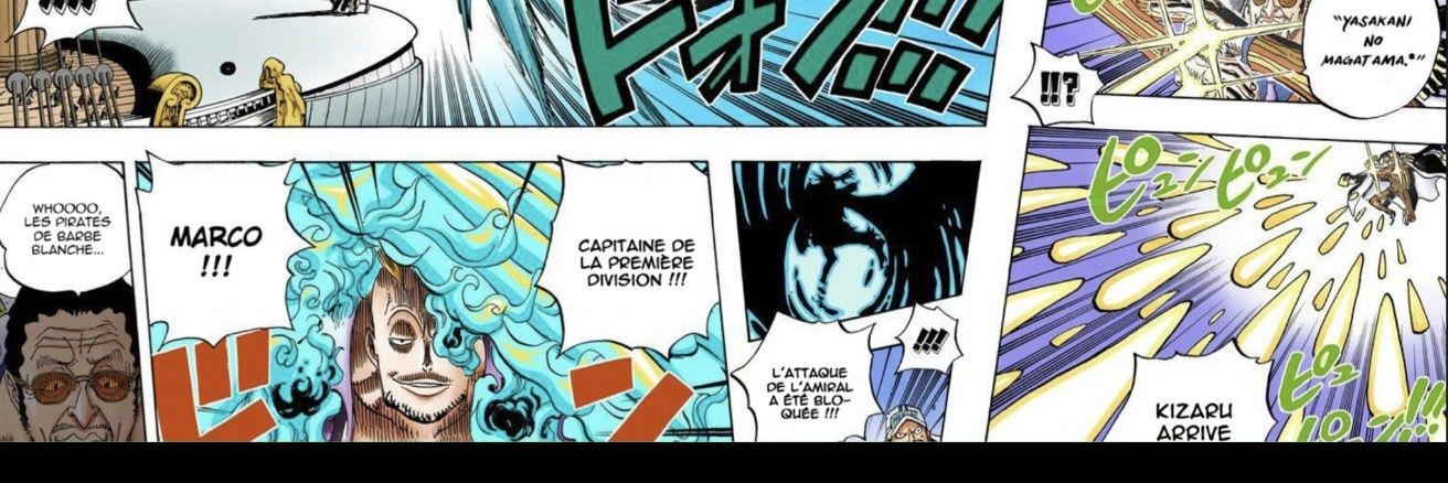 curtis dokkan hoffmann banner