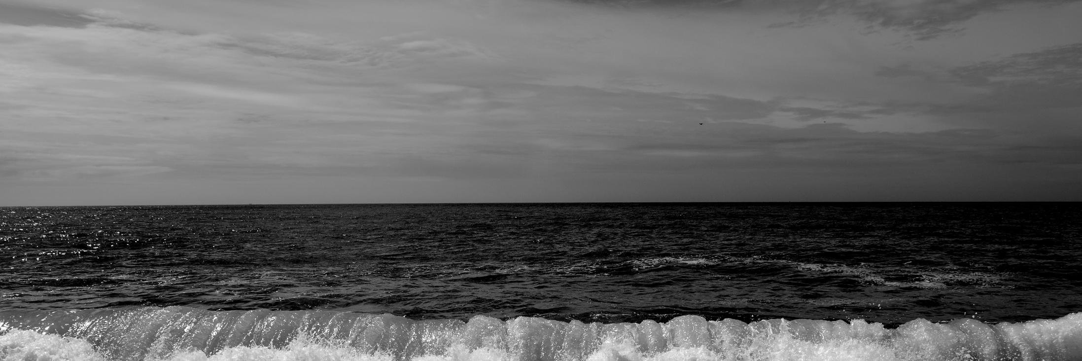 ducksarefat's profile banner image