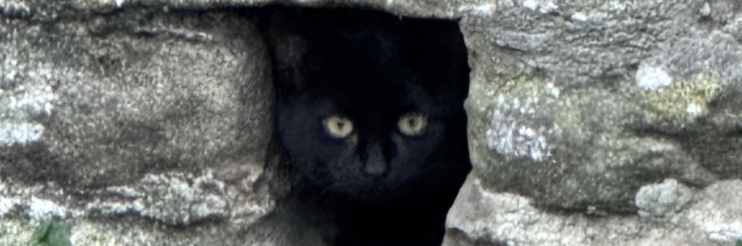 TrickyKaren2's profile banner image