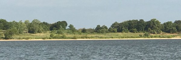 ToddDavis19 Profile Banner