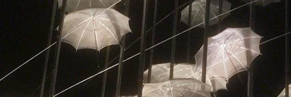 bingrui Profile Banner