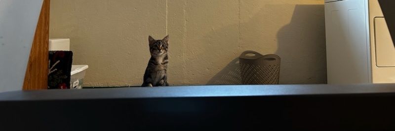 tj_liggett's profile banner image