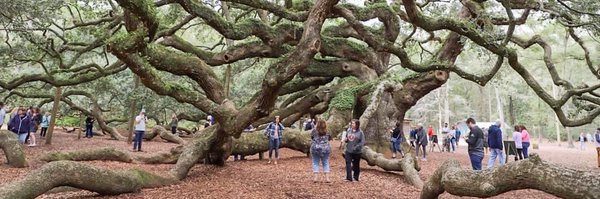 KellyHPayne Profile Banner