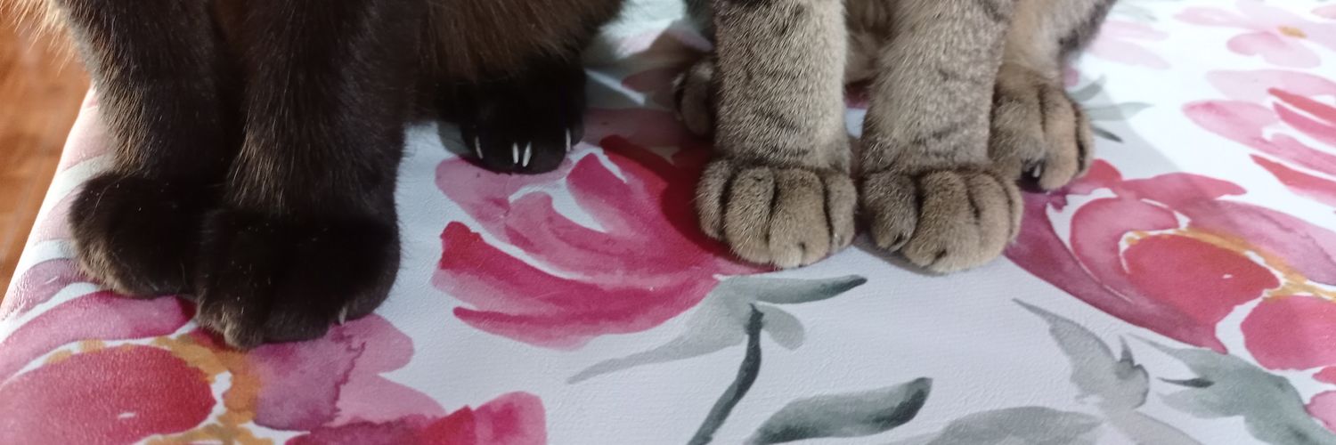 marielne's profile banner image