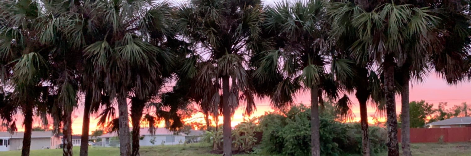 Adam Schaffer banner