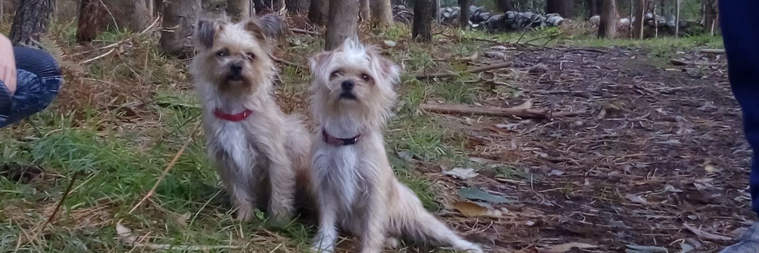 Crispis83's profile banner image