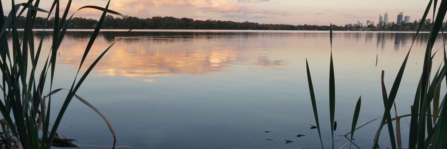 GreenPractice1's profile banner image