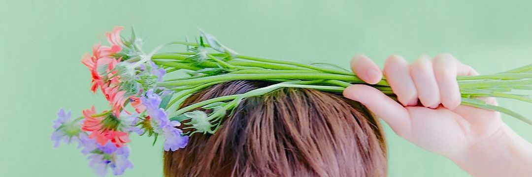 Philopedy's profile banner image