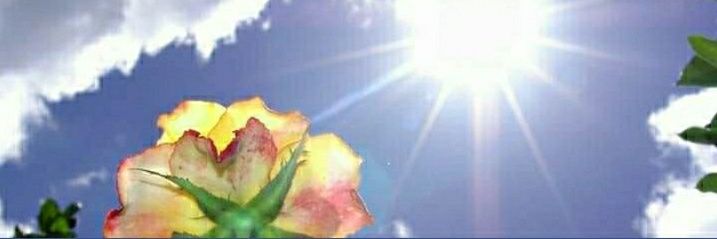 drbm91's profile banner image