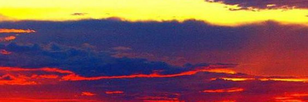 dongaroto's profile banner image