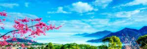 mkahieng's profile banner image