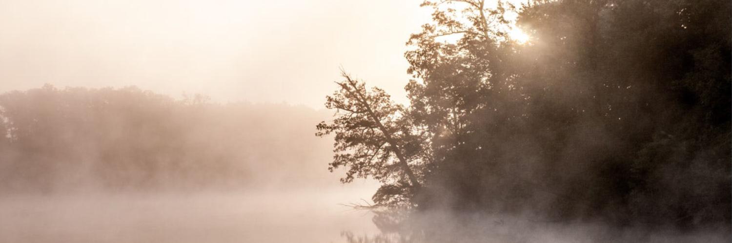 Laura Bubnick banner
