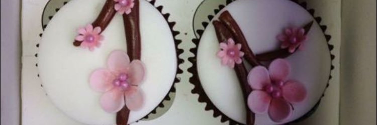 Bluebirdbakeryx's profile banner image