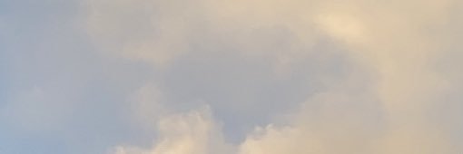 evarhumana's profile banner image