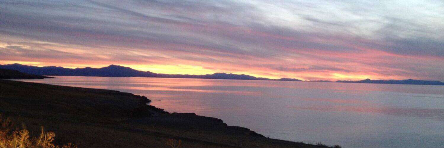 Levent Harman banner