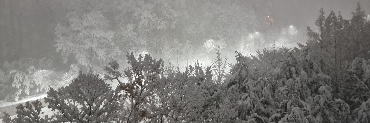 lks1533's profile banner image