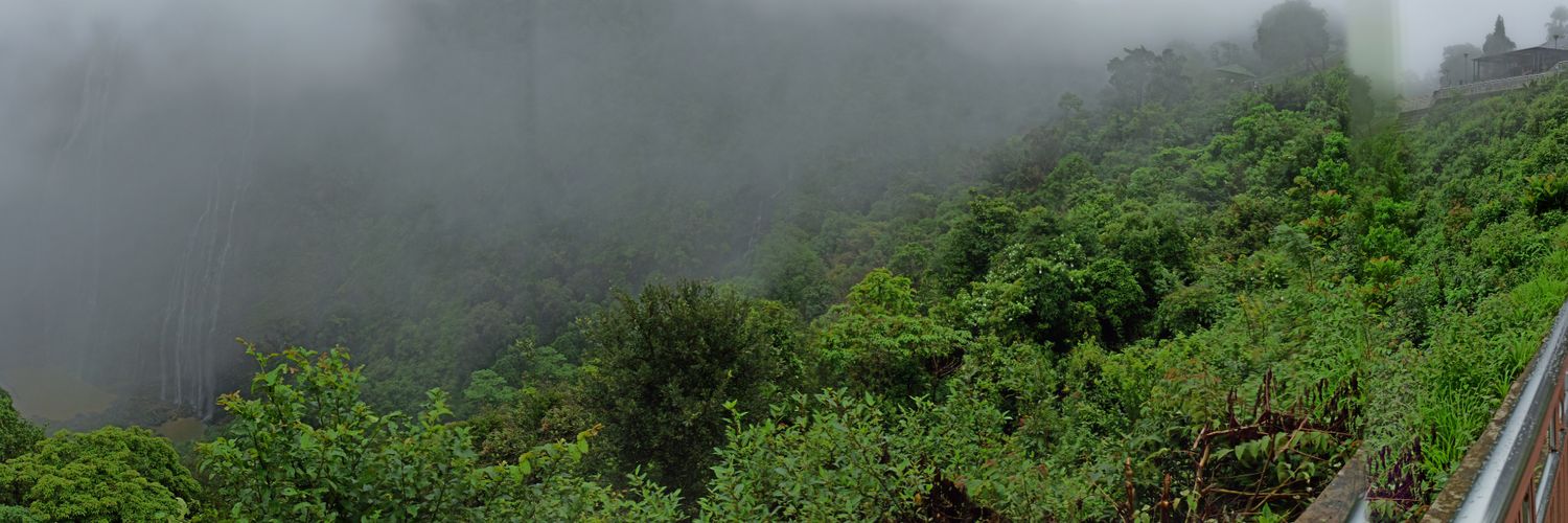 Pavan banner