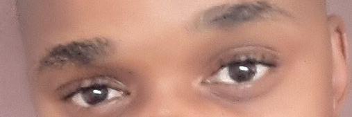 Thato Tholo banner