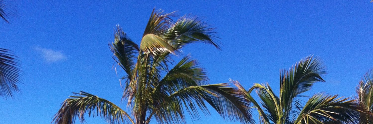 1Lanzarote's profile banner image