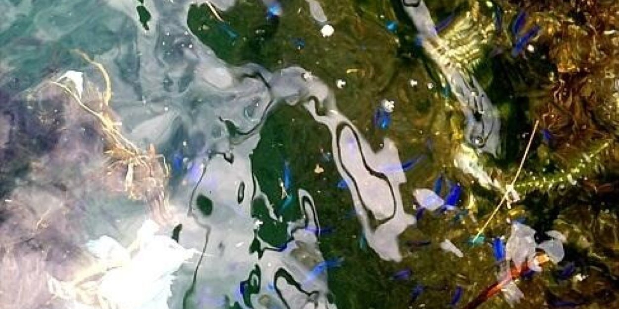 Jean_BotTh's profile banner image