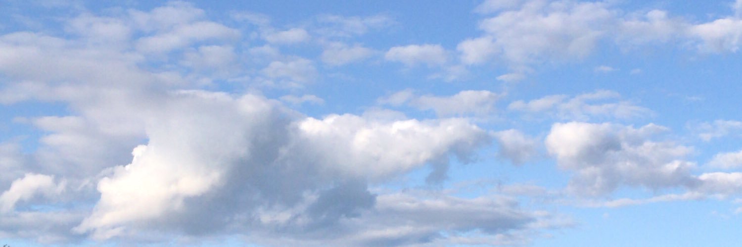 Oscarin banner