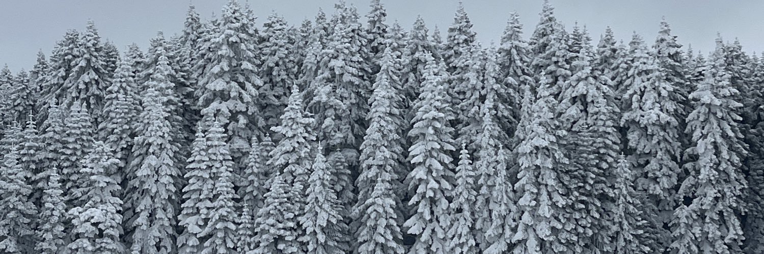 Emrequl's profile banner image