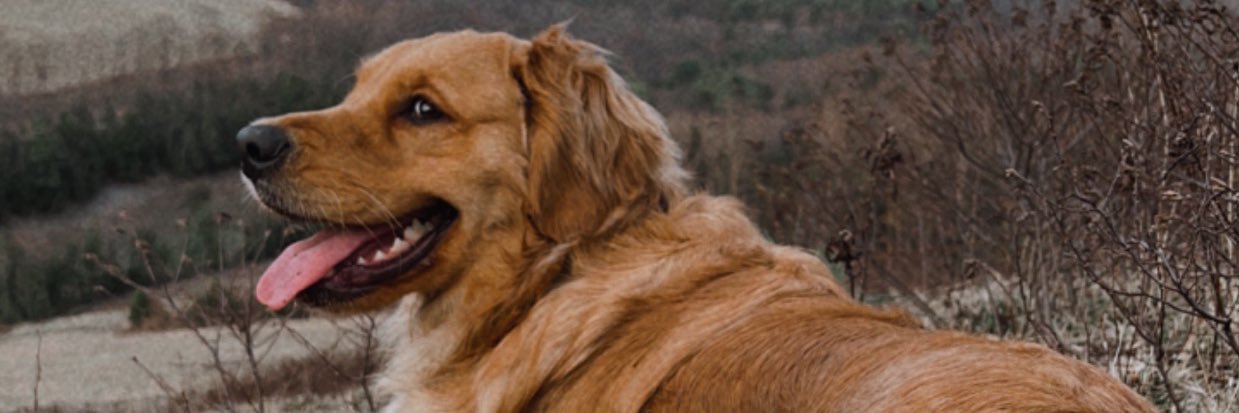 sbeatty07's profile banner image