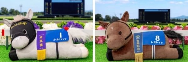 kazuchans11's profile banner image