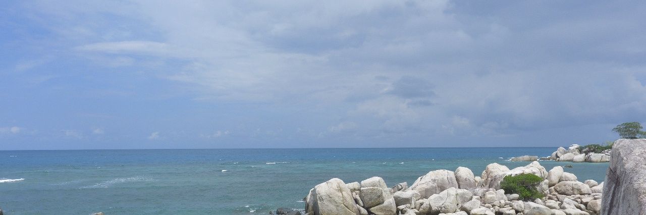 ripmay's profile banner image