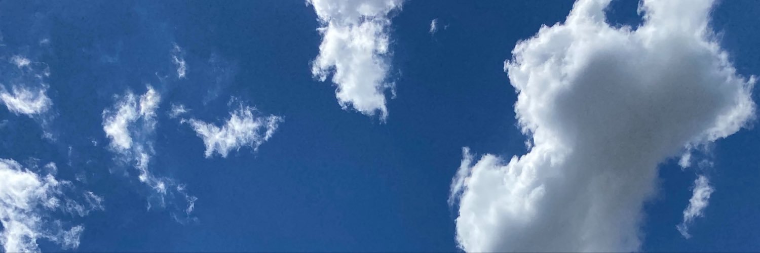 ehmuleee's profile banner image