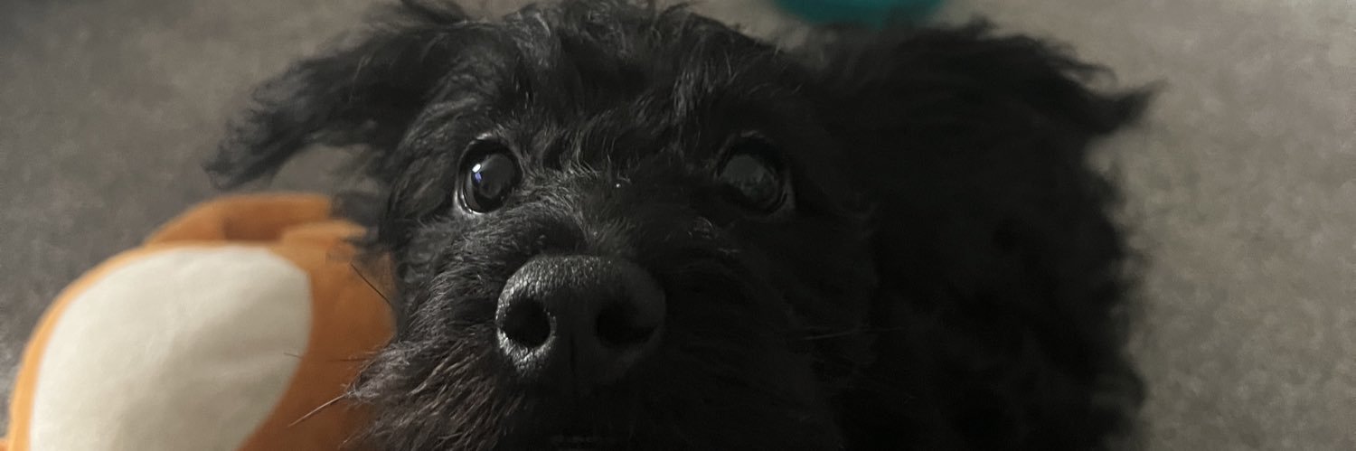 lizzyy246's profile banner image
