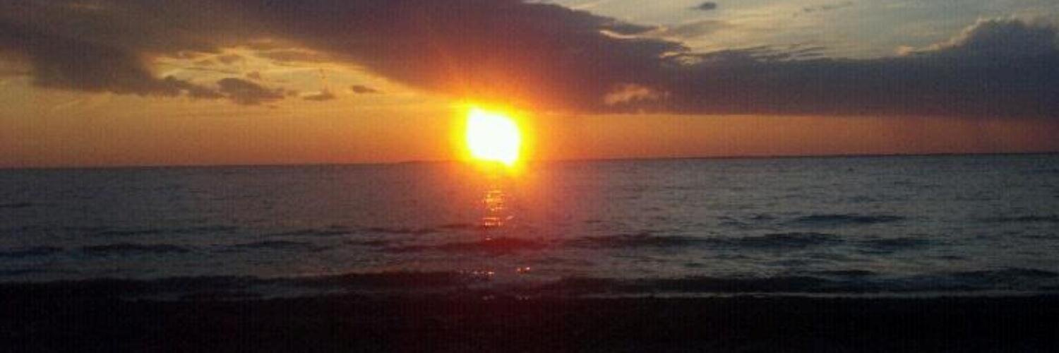 MonicaDisare's profile banner image