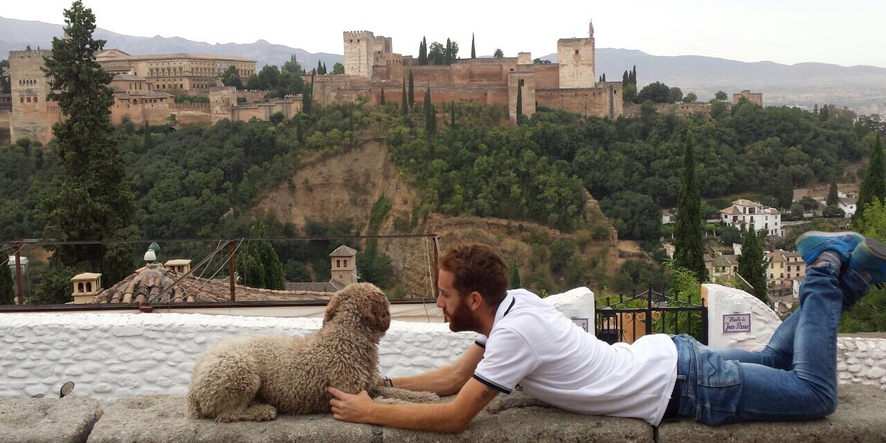 diegoPELIRROJO's profile banner image
