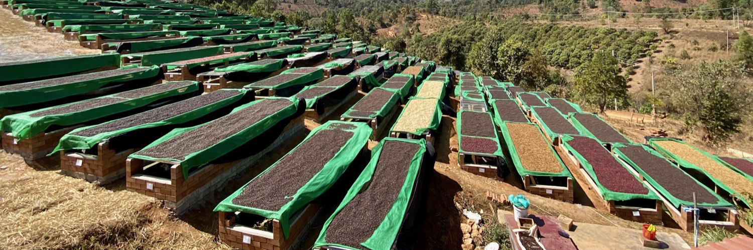 Charlotte Malaval banner