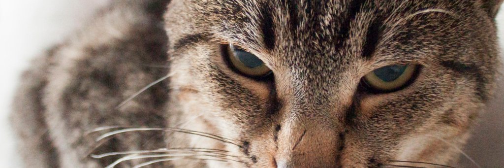 emrefbph's profile banner image