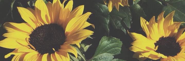 NB_x3's profile banner image