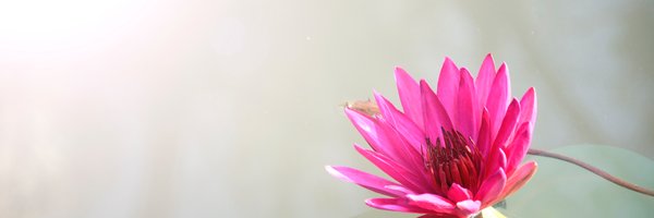 amayawrites Profile Banner