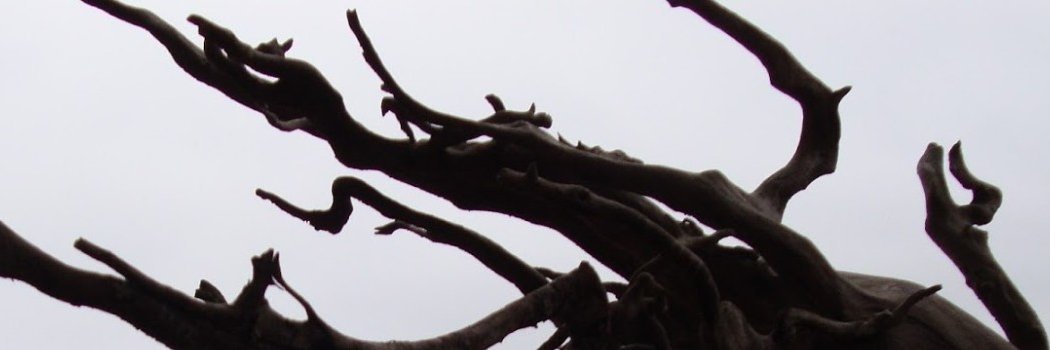 technoratch's profile banner image