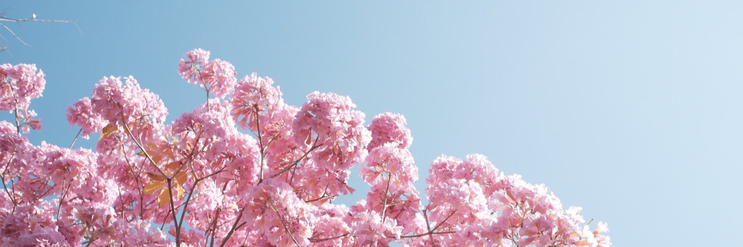 Msrositala's profile banner image