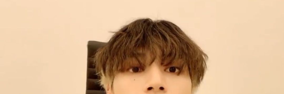 Revi 🦊 banner