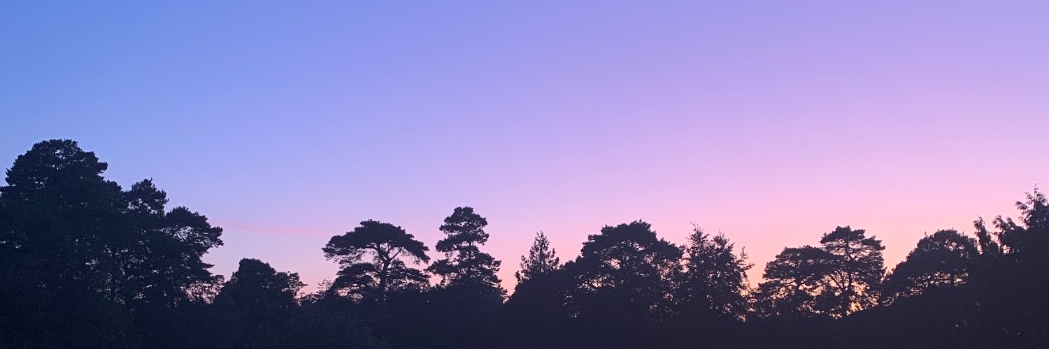 bumblebea99's profile banner image