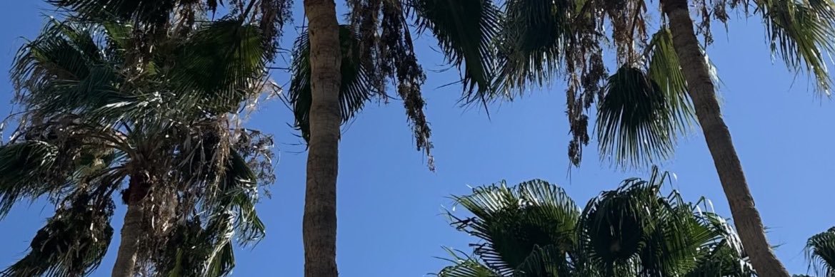 EX0DUS banner