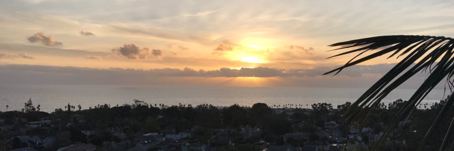 Michael Paris banner