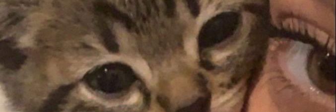 AminaBent's profile banner image