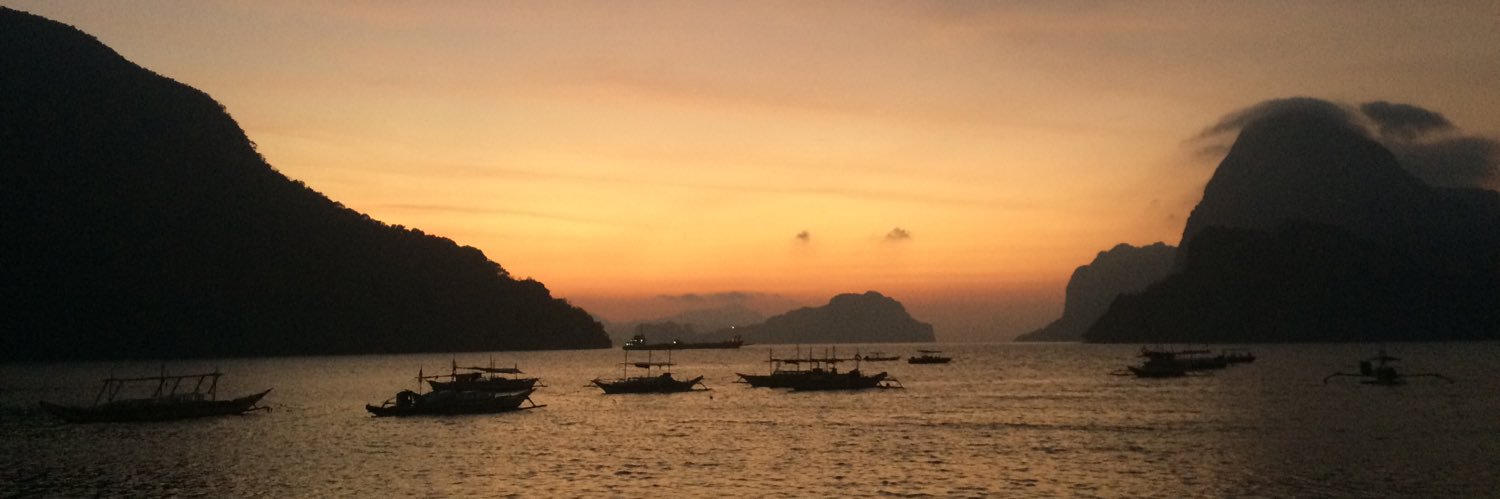 #AlternativeFacts banner