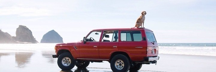 czterylapy's profile banner image