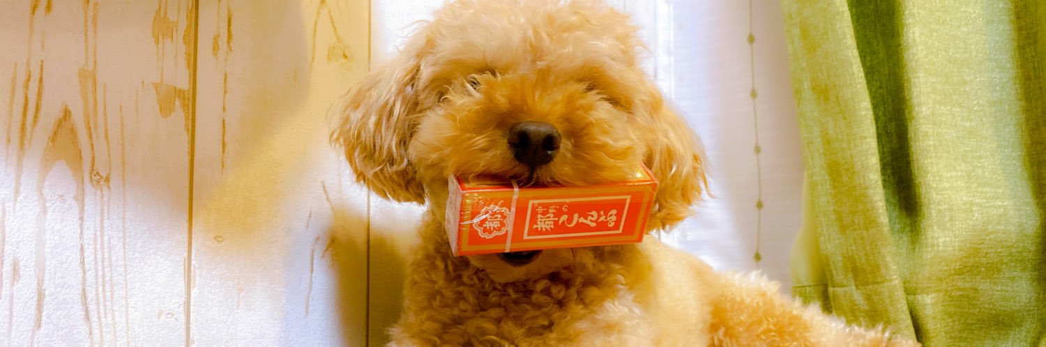 tsuna718's profile banner image