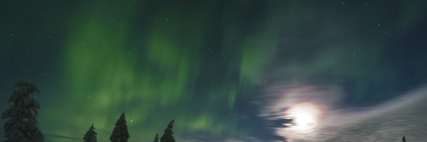 ꪊꪀꫝꪮꪶꪗ ᧁ᥅ꪖﺃꪶ banner